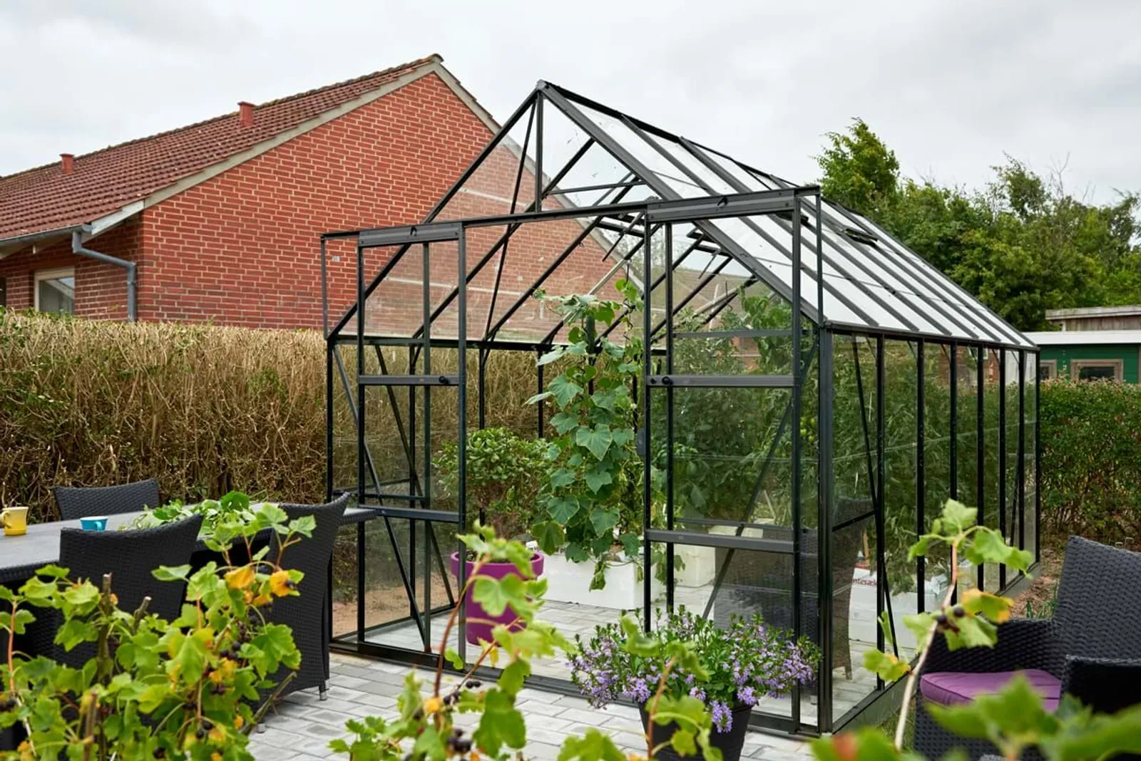 Växthus Halls Magnum 148 Svart 11,5 m² Glas - miniatyr 2