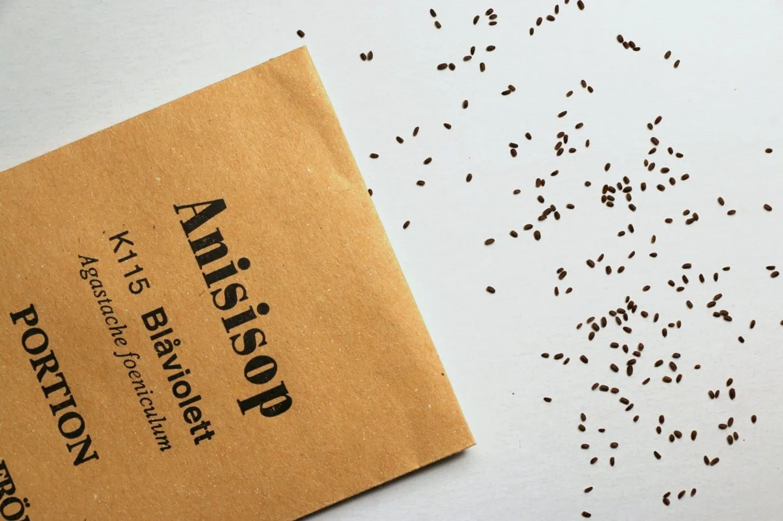Anisisop 'Anisisop, blåviolett', ekofrö - miniatyr 2