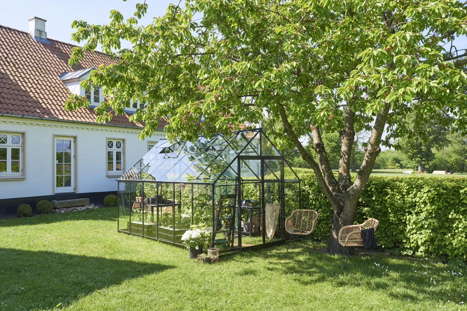 Växthus Halls Qube+ 812 Svart 9,9 m² Härdat Glas - miniatyr 2