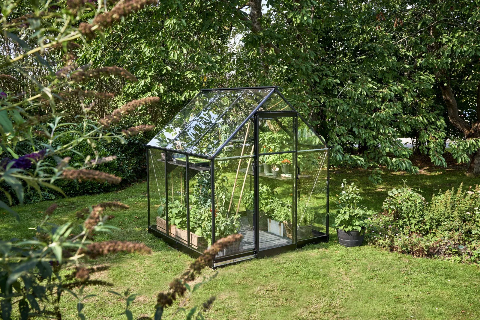 Växthus Halls Qube 66 Svart 3,9 m² Härdat Glas