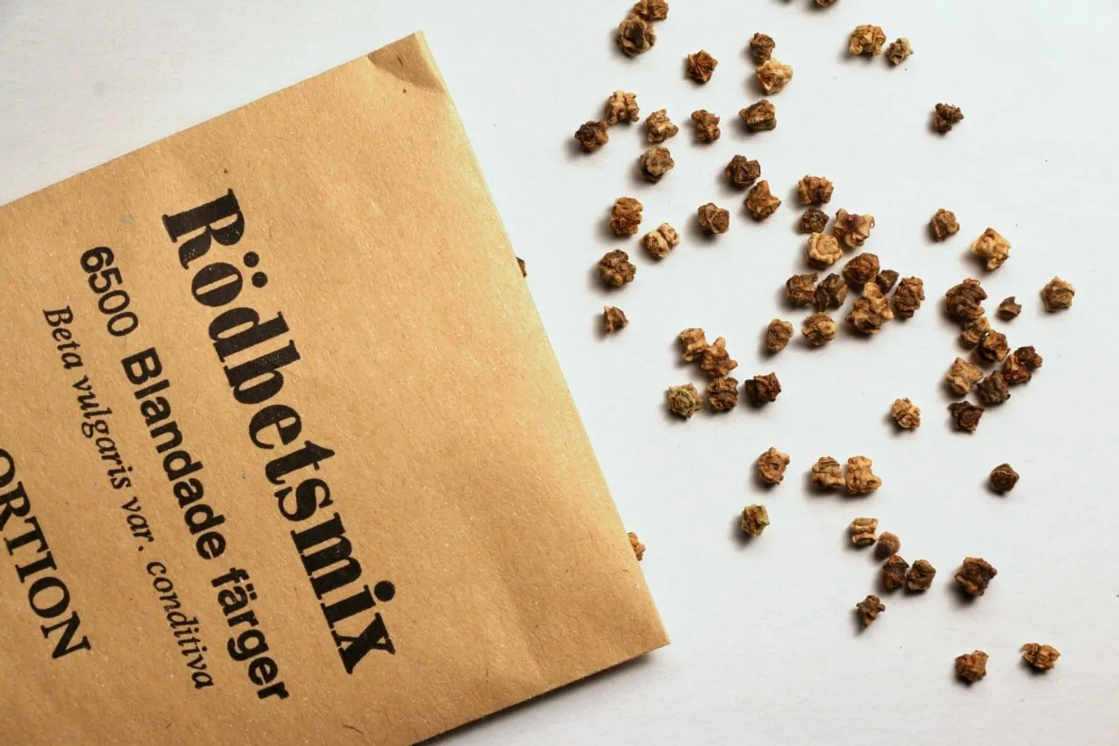 Rödbeta 'Rödbetsmix', ekofrö - miniatyr 4