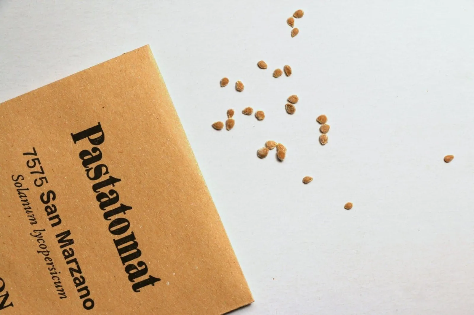 Tomat, pasta- 'San Marzano', ekofrö - miniatyr 2