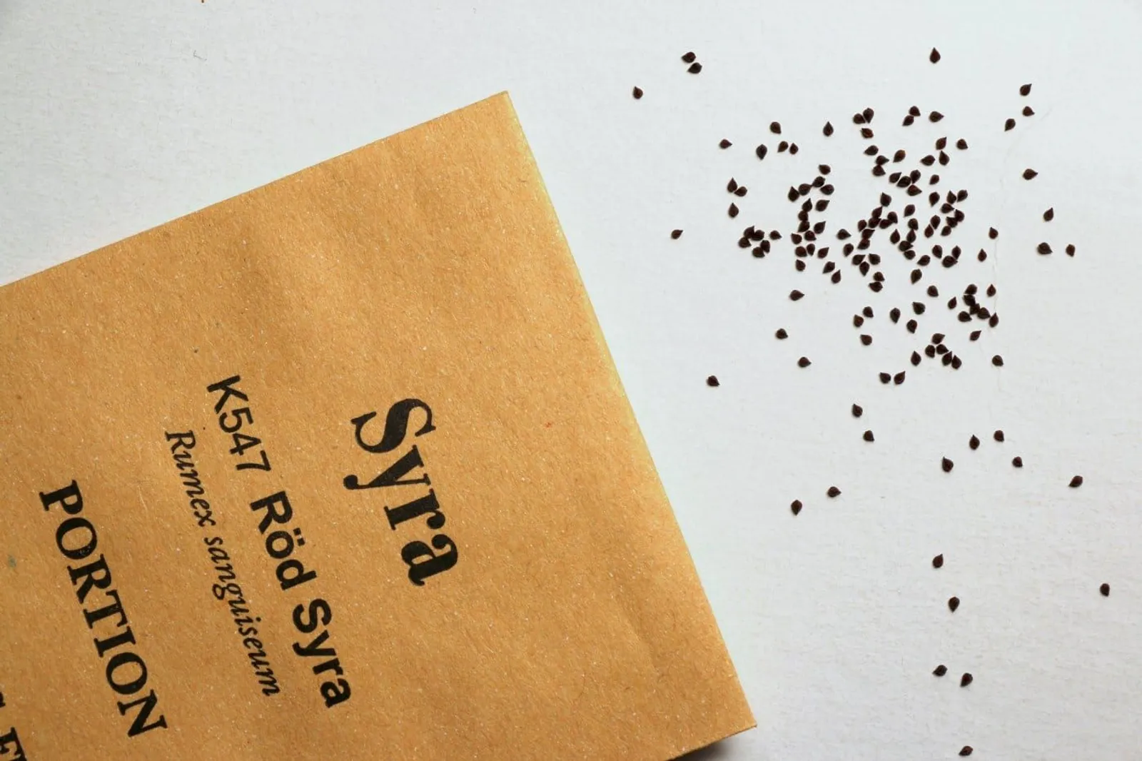 Syra 'Röd Syra', ekofrö - miniatyr 3