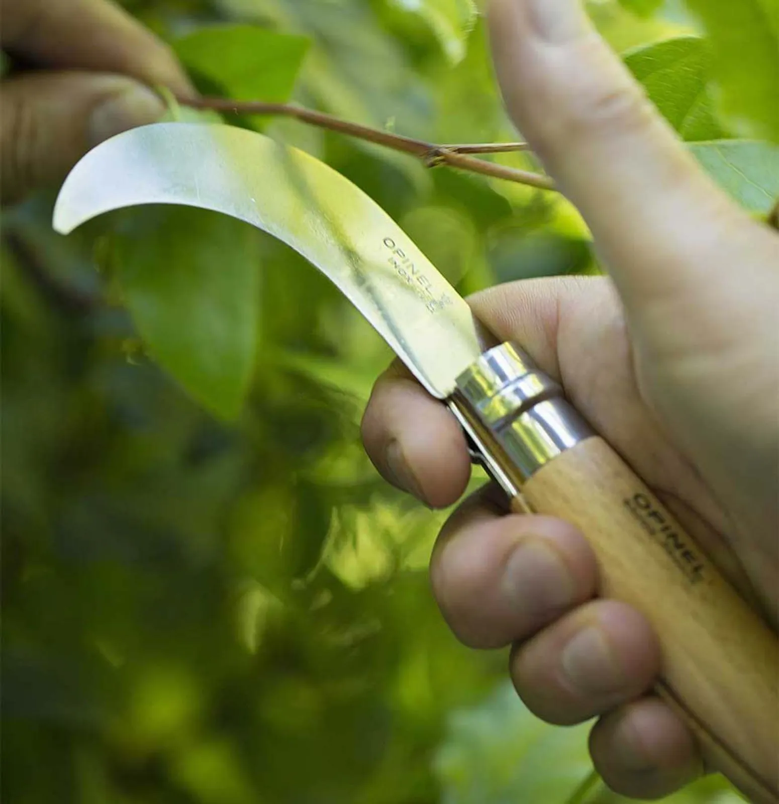 N10 Beskärningskniv Opinel - miniatyr 3