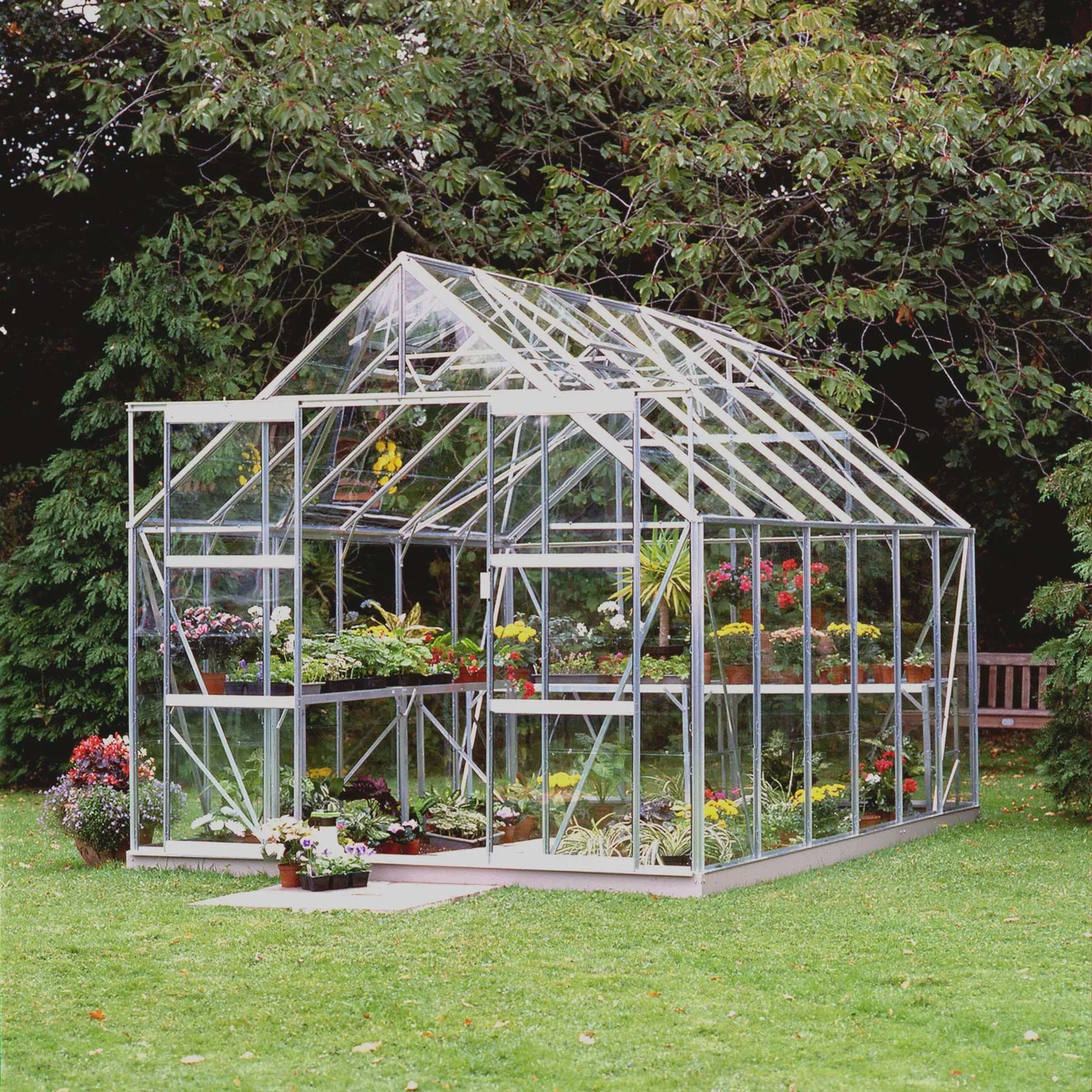 Växthus Halls Magnum 128 9,9 m² Glas