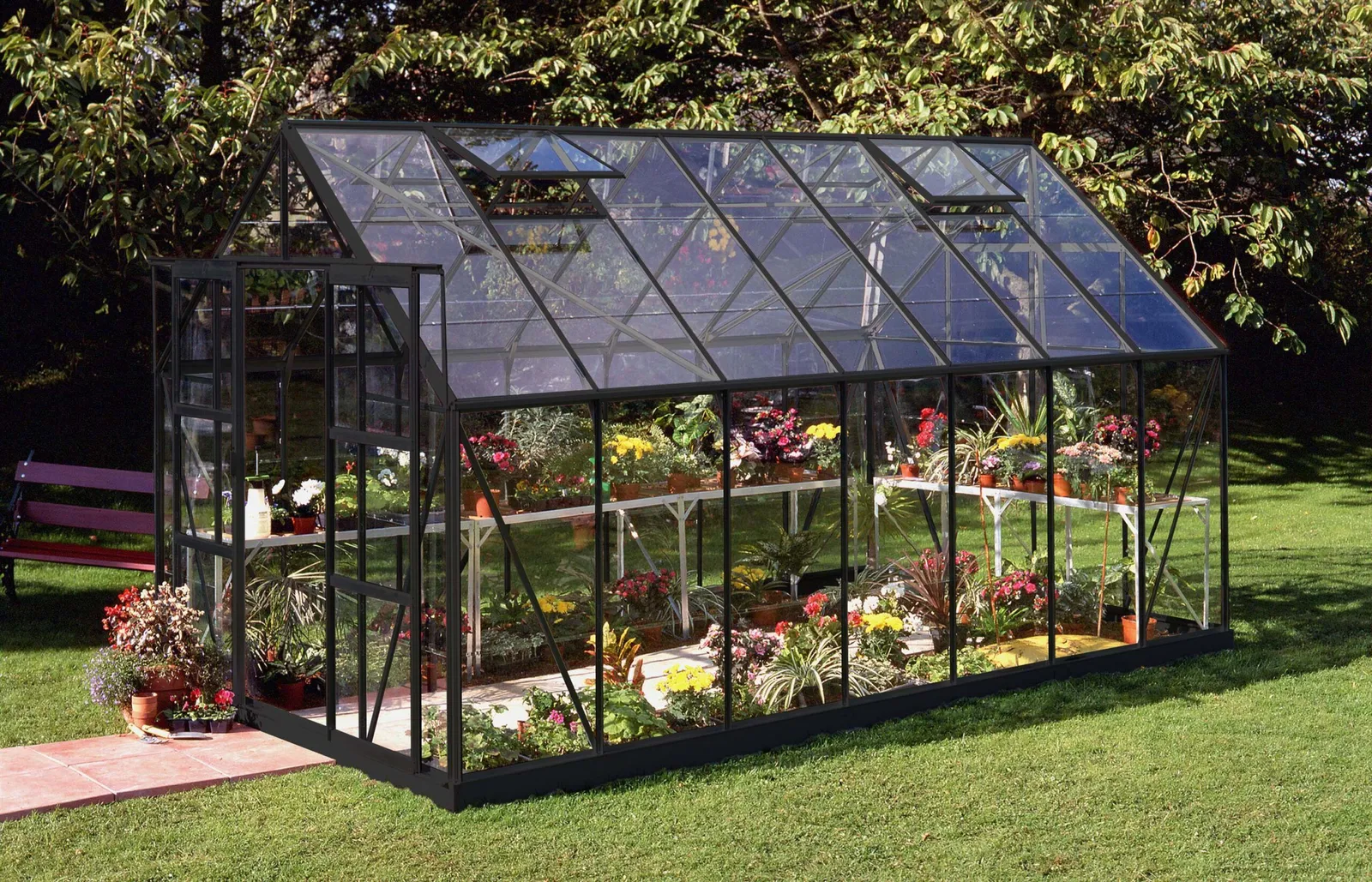 Växthus Halls Magnum 148 Svart 11,5 m² Glas