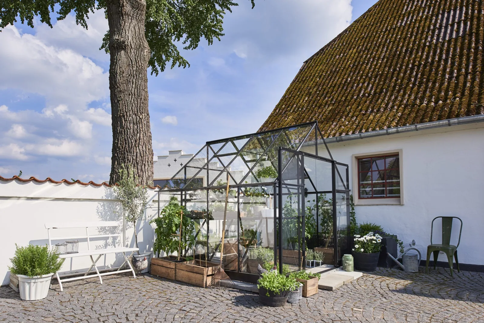 Växthus Halls Qube+ 88 Svart 6,6 m² Härdat Glas
