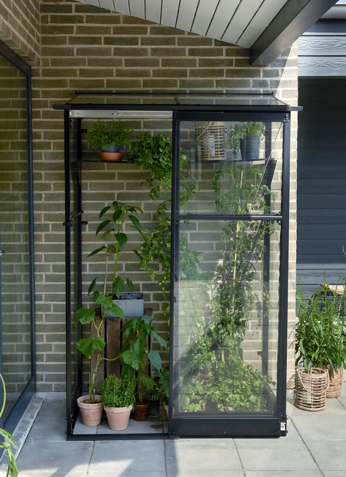 Växthus Halls Qube Lean-to 24 Svart 0,8 m² Härdat Glas - miniatyr 2