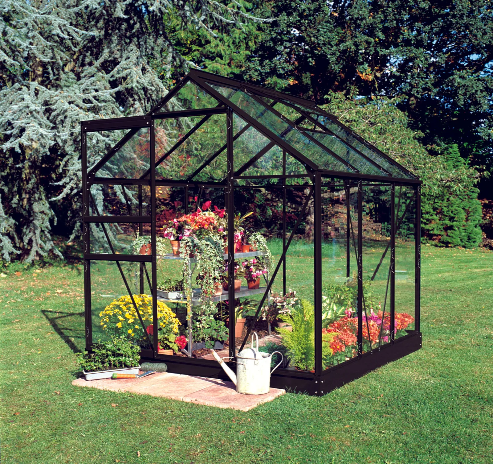 Växthus Halls Popular 66 Svart 3,8 m² Härdat Glas