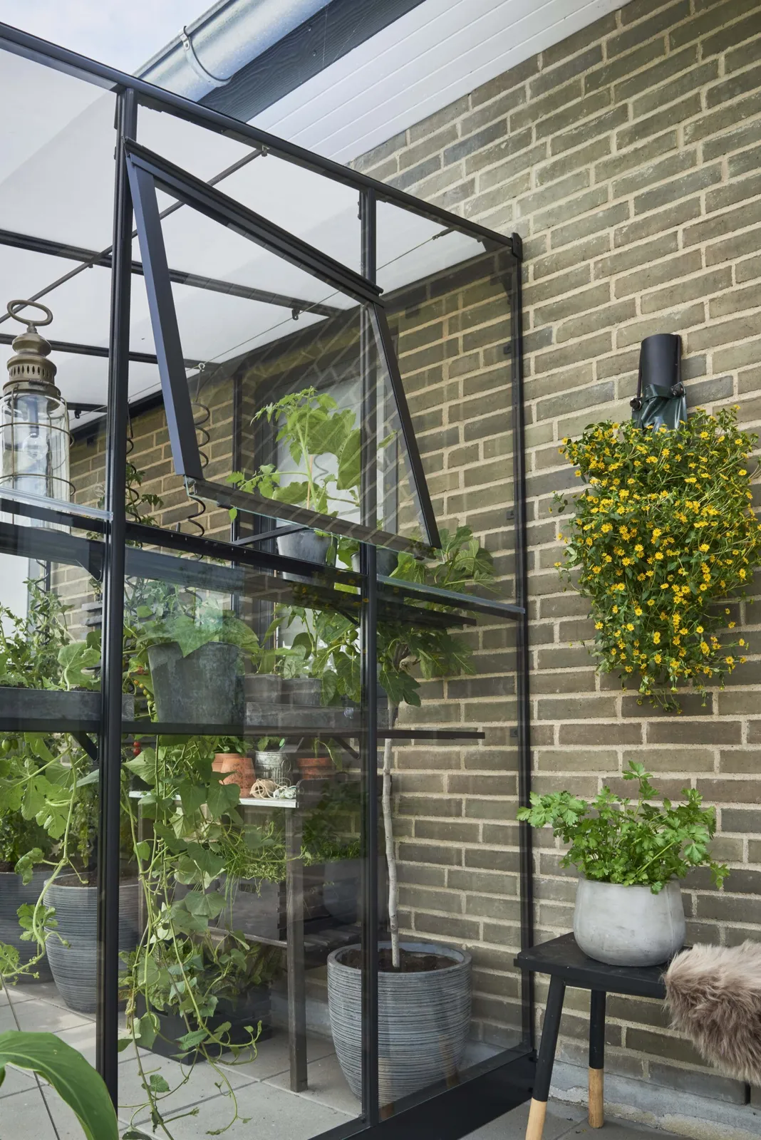 Växthus Halls Qube Lean-to 68 Svart 4,7 m² Härdat Glas - miniatyr 3