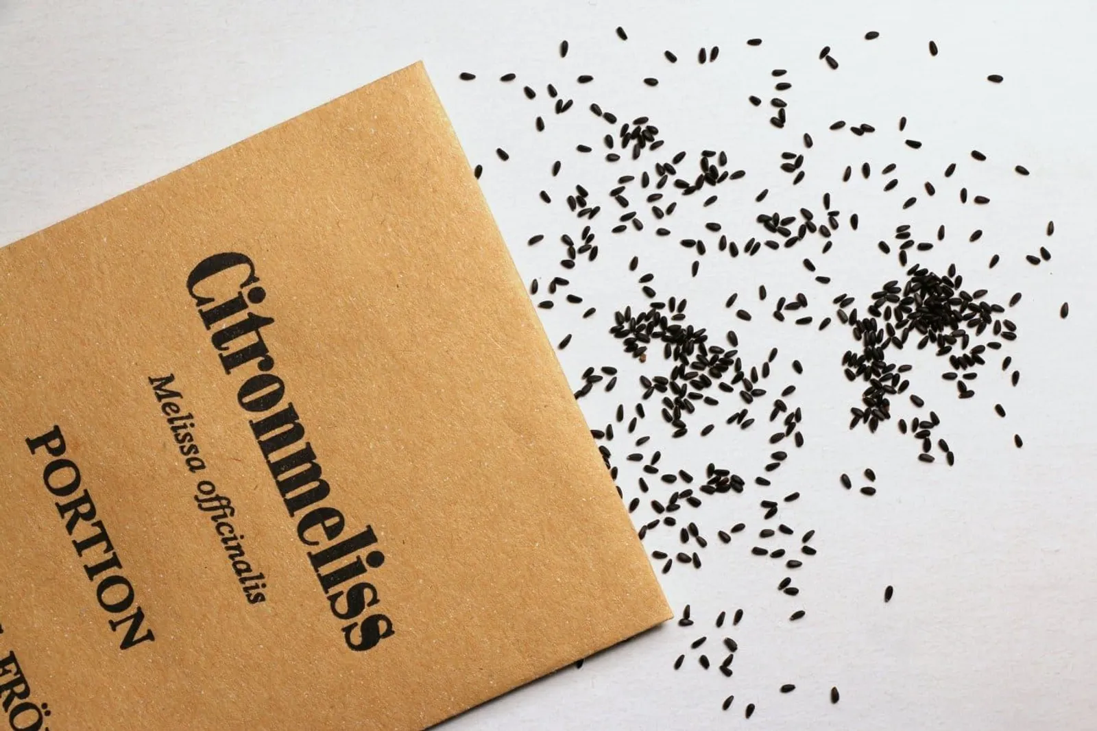 Citronmeliss 'Citronmeliss', ekofrö - miniatyr 2