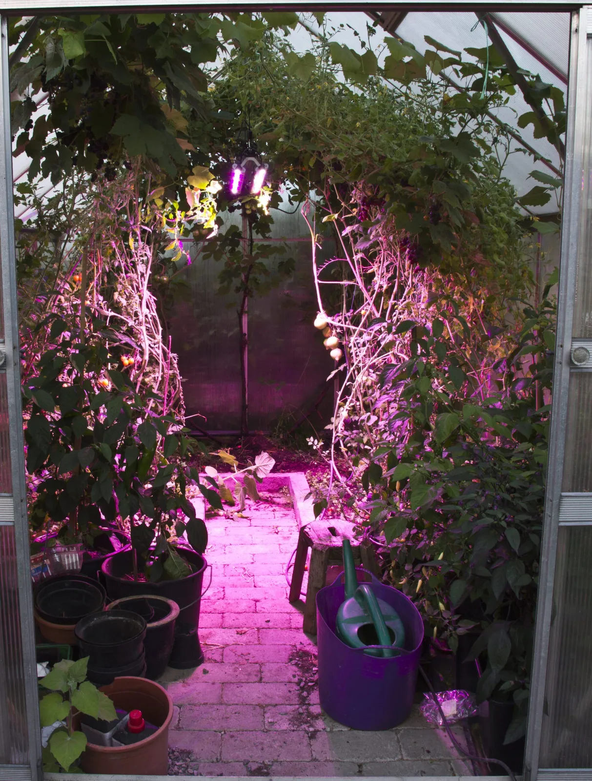 Växtarmatur Venso Growlight Quattro 2st rader 60W - miniatyr 2