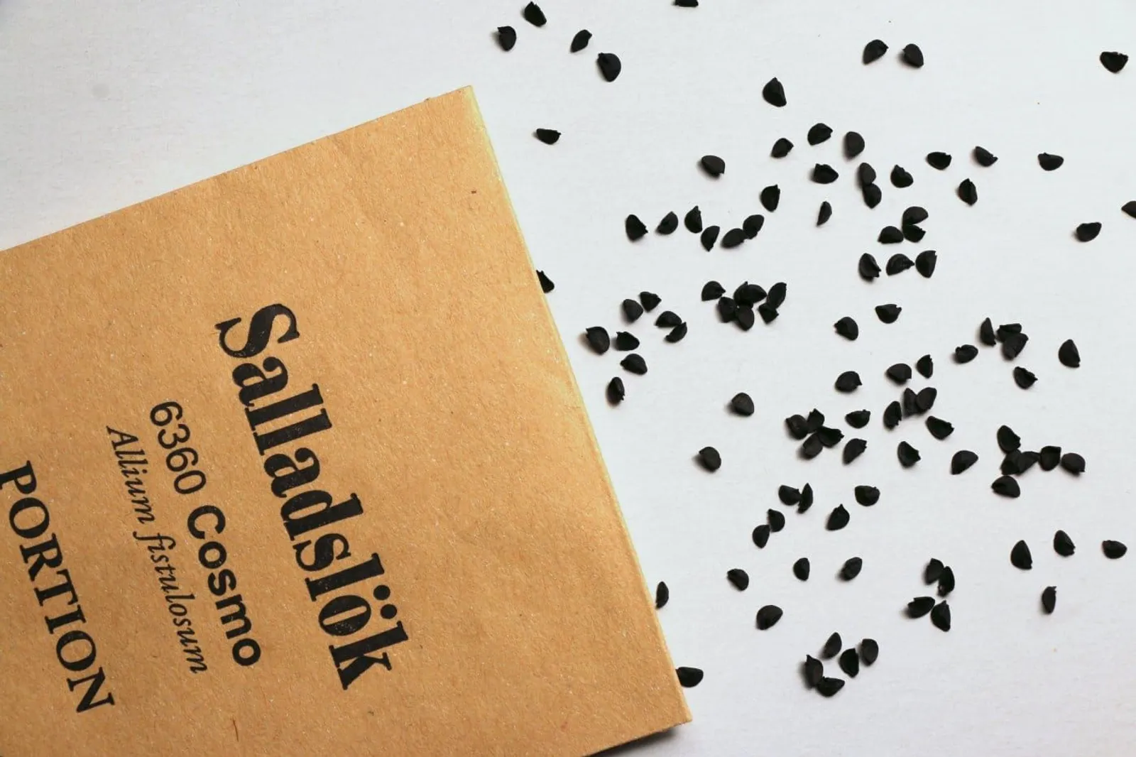 Salladslök 'Cosmo', ekofrö - miniatyr 2