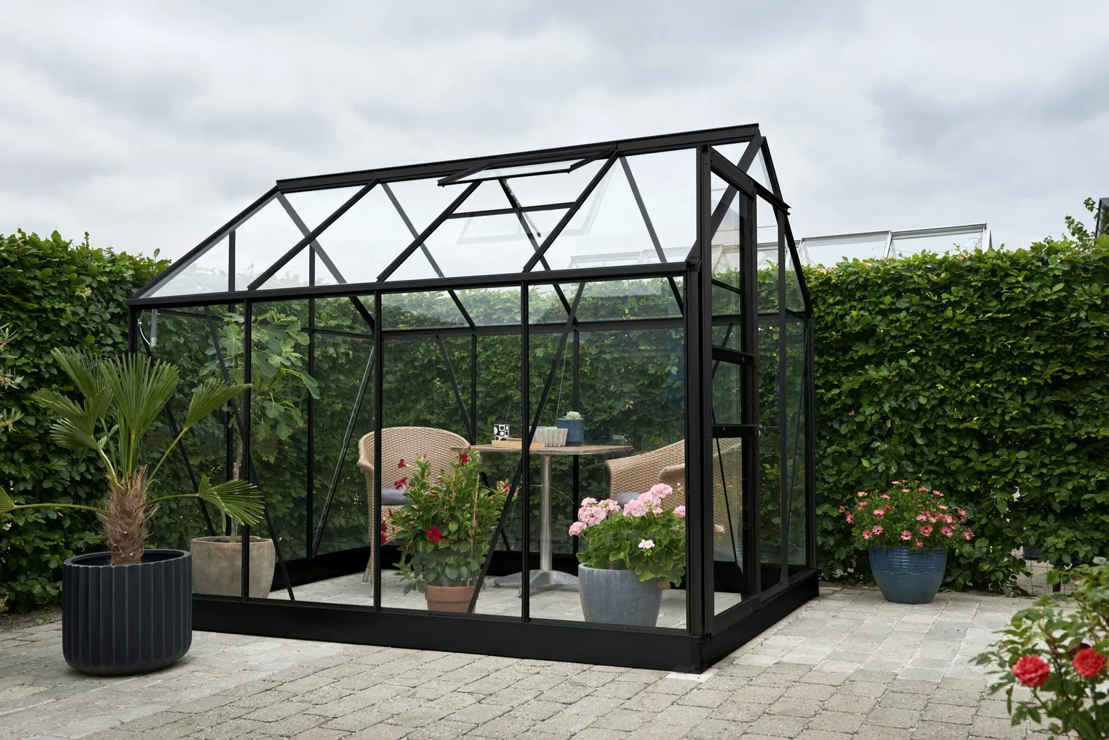 Växthus Halls Popular 86 Svart 5 m² Härdat Glas