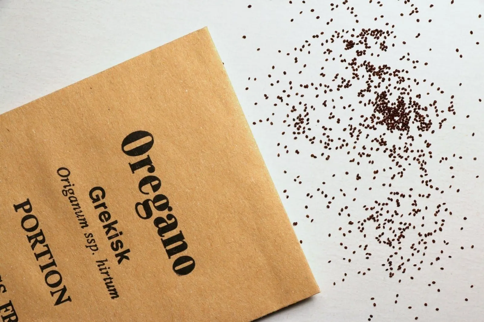 Oregano 'Grekisk oregano', ekofrö - miniatyr 2