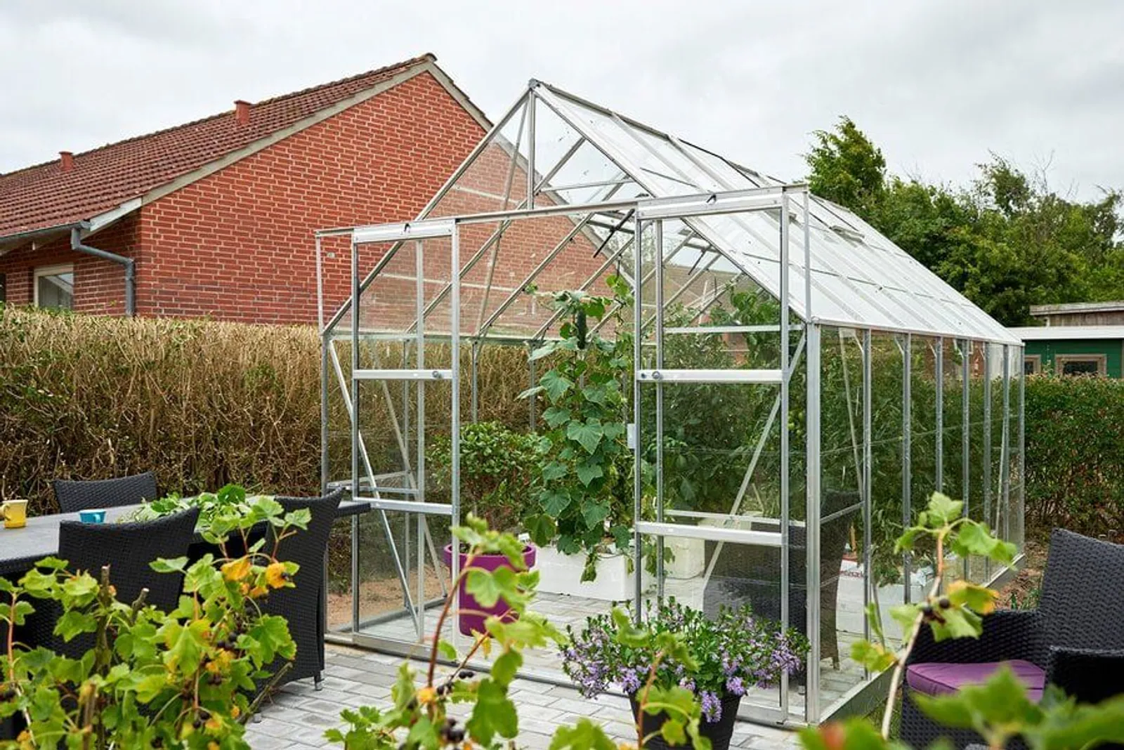 Växthus Halls Magnum 148 11,5 m² Glas - miniatyr 3