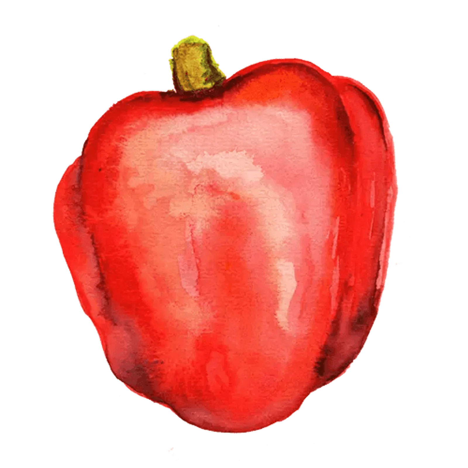 Paprika 'King of the North', Frö - bild 1