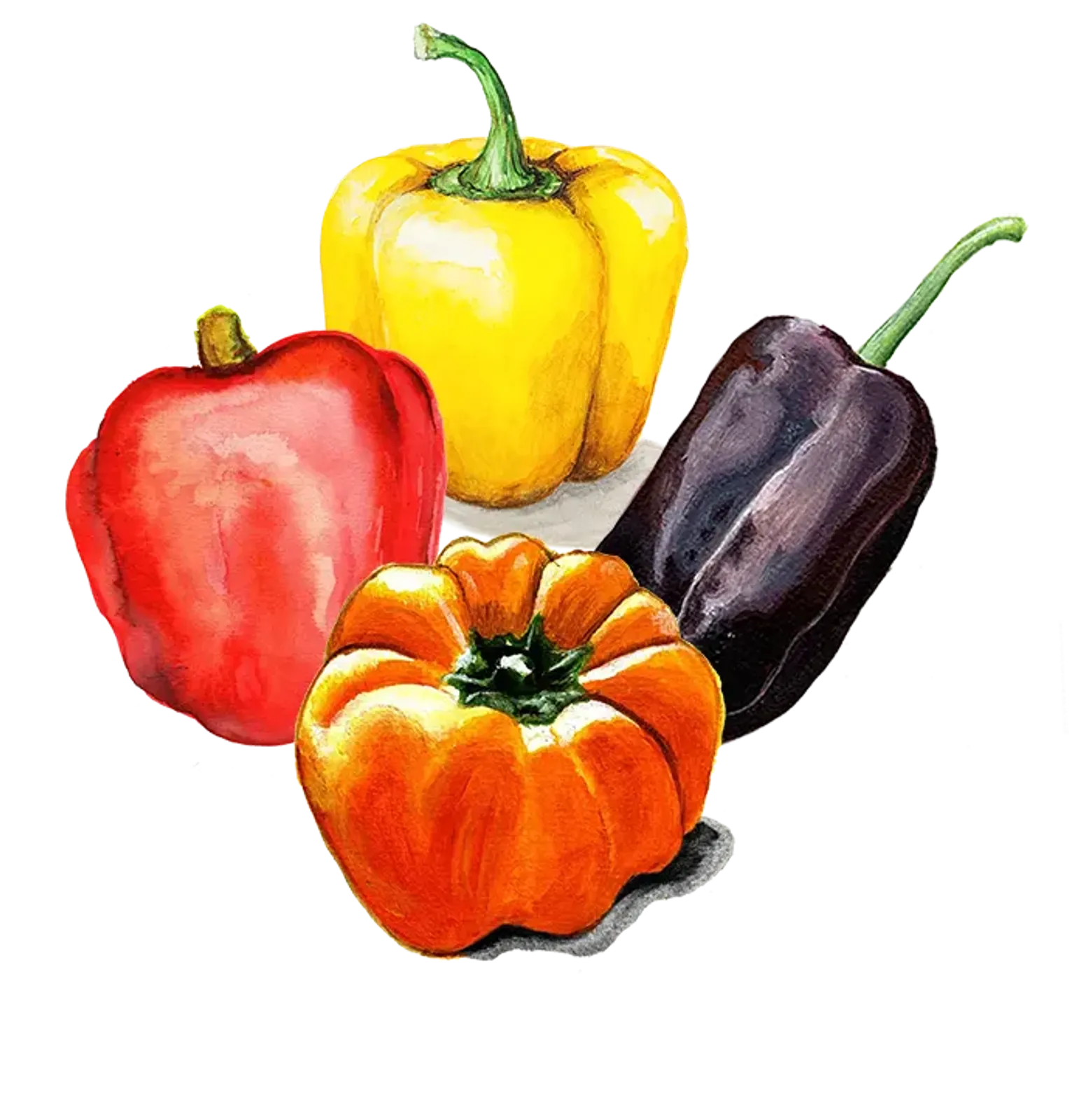 Paprika 'Paprikor Mix', Frö - bild 1
