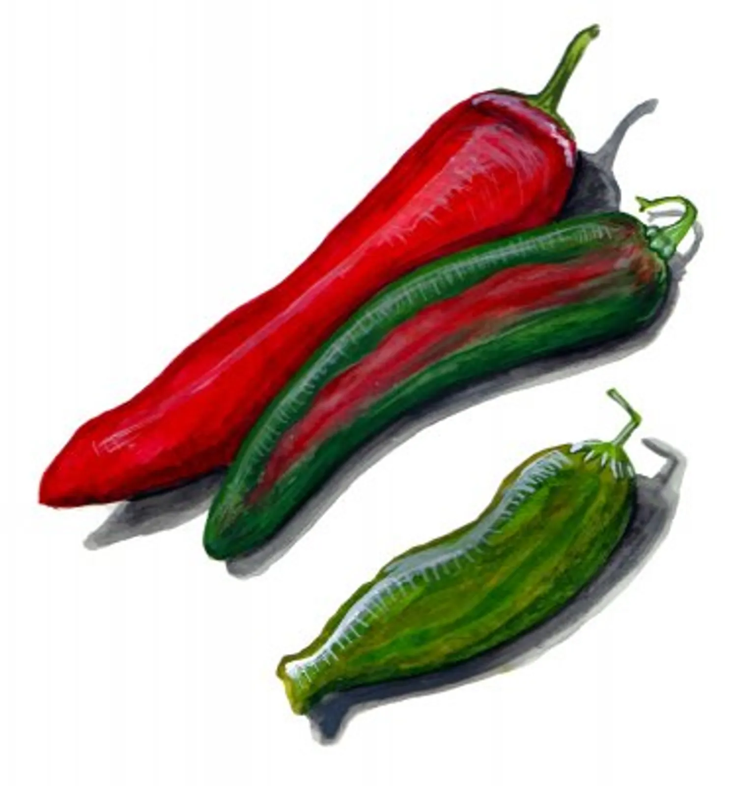 Chili 'Anaheim', Frö - bild 1