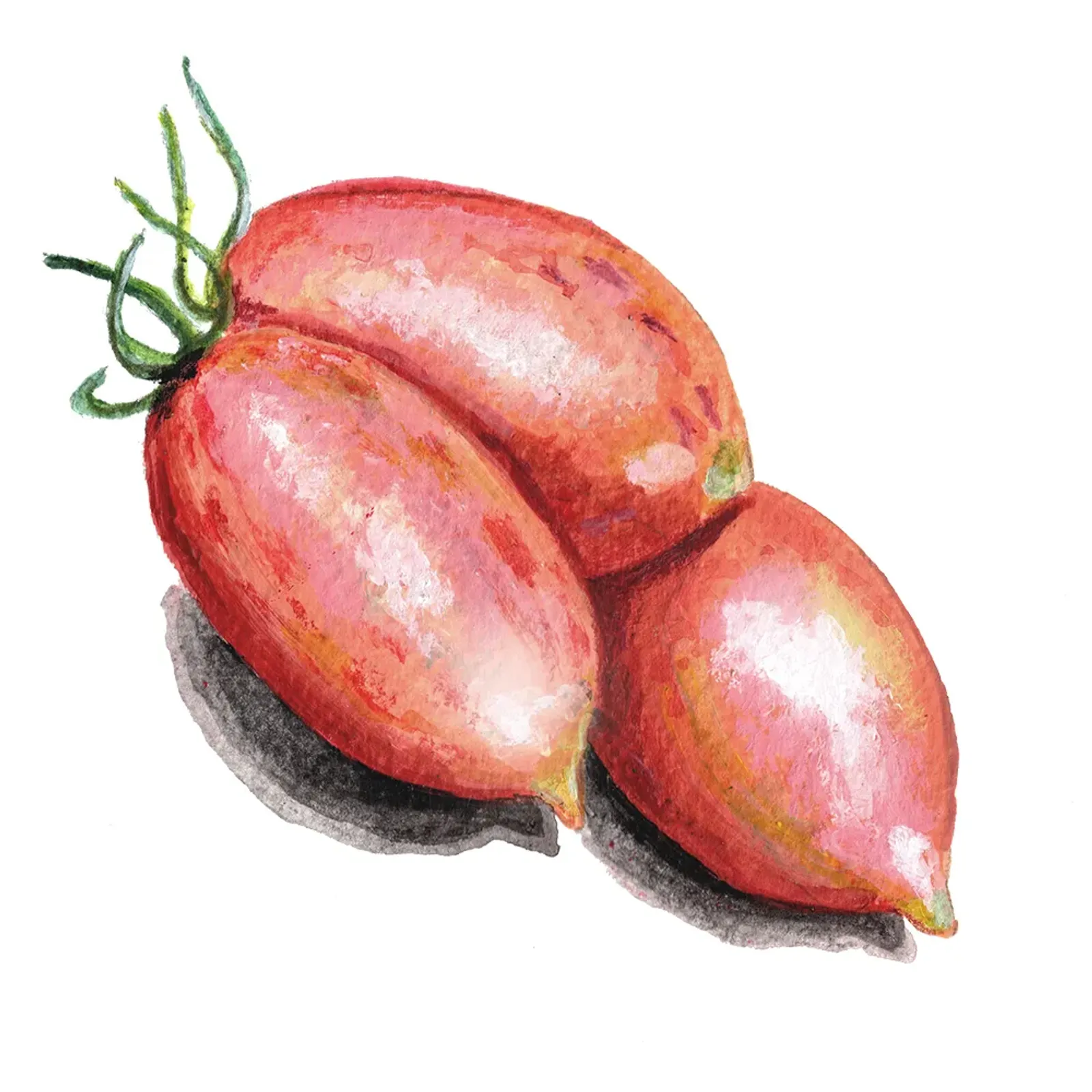 Tomat 'Artisan Pink Tiger', Frö - bild 1