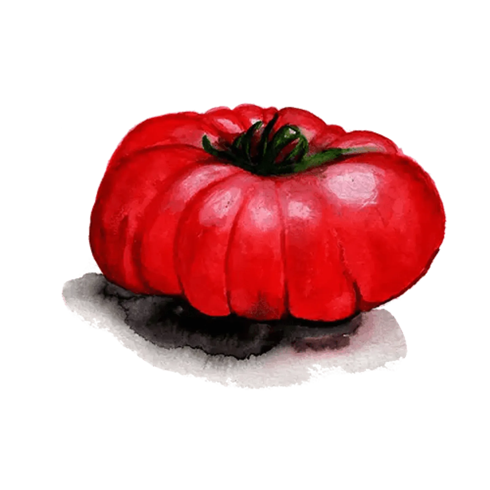 Tomat 'Arctic Rose', Frö - bild 1