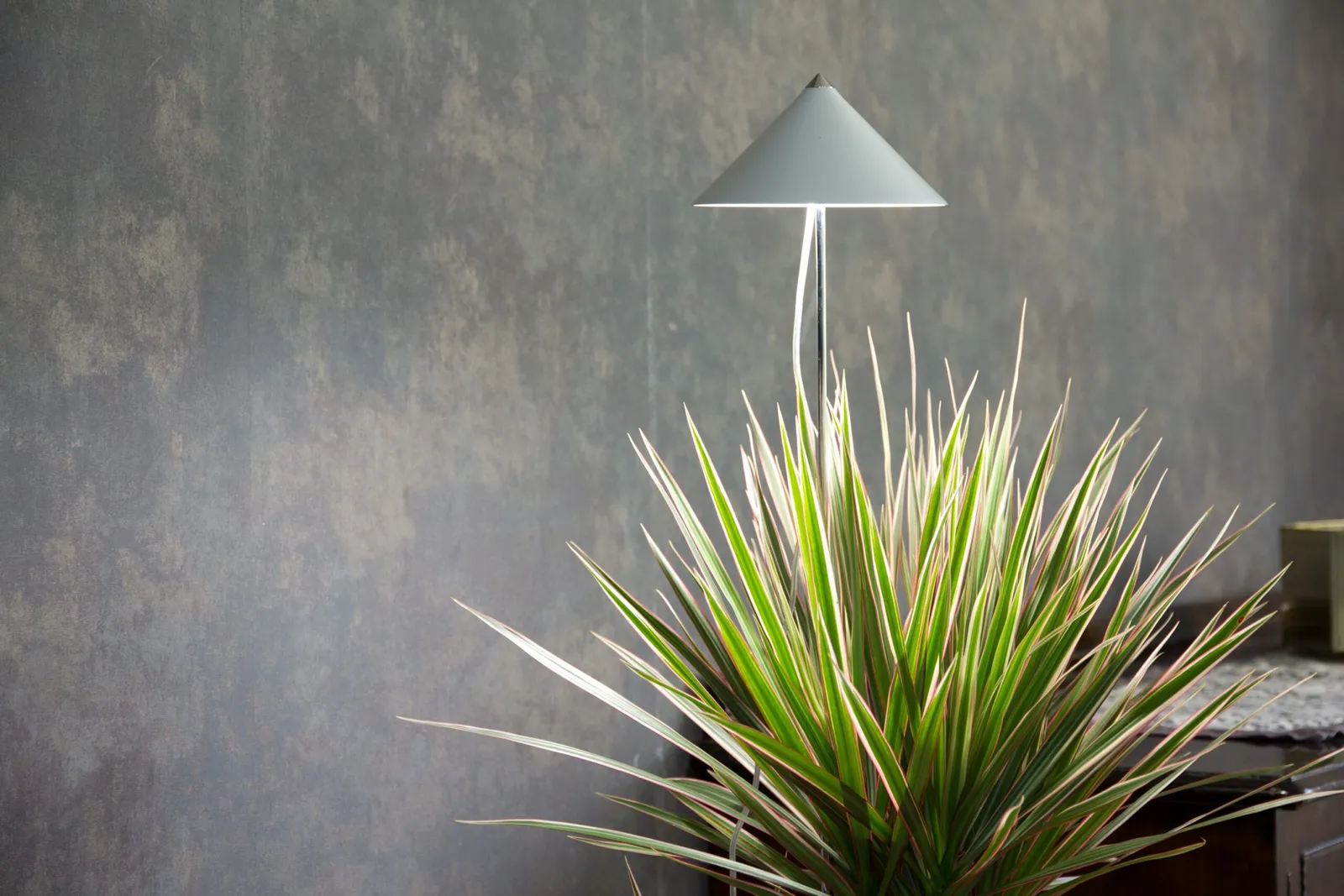 Växtlampa Venso Sunlite XL Vit 25W - bild 1