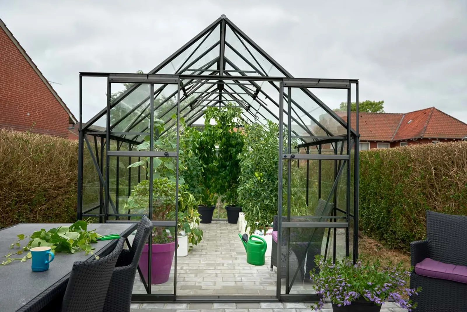 Växthus Halls Magnum 148 Svart 11,5 m² Glas - bild 3