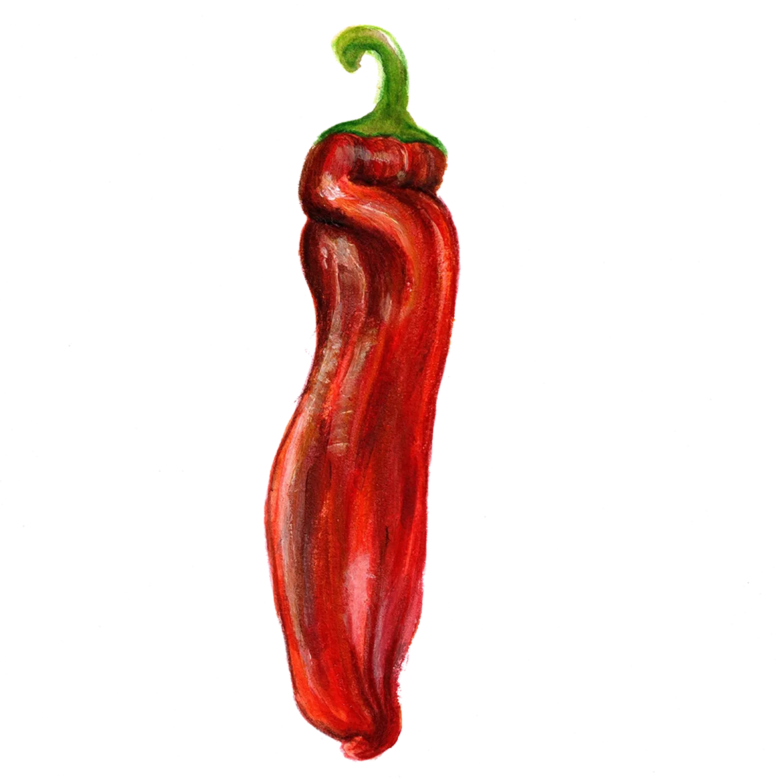 Paprika 'Dulce Italiano', Frö - bild 1