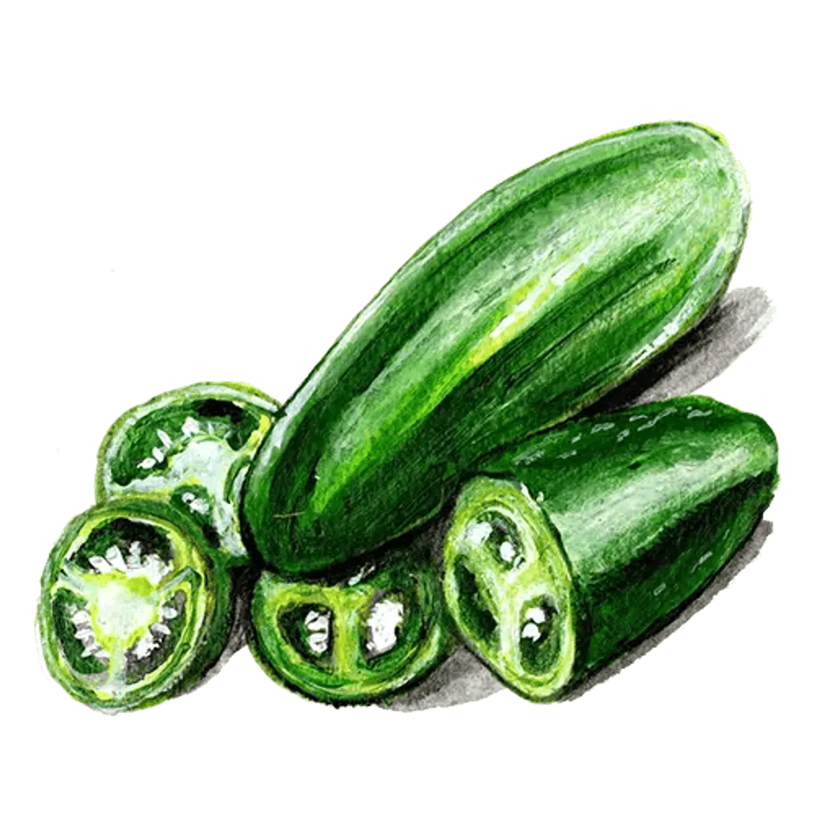 Chili 'Early Jalapeño', Frö - bild 1