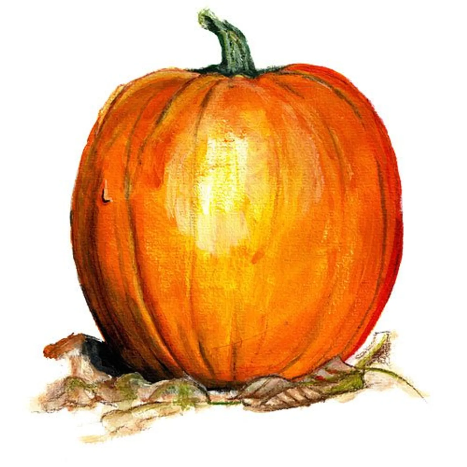 Halloweenpumpa 'Ghost Rider', Frö - bild 1
