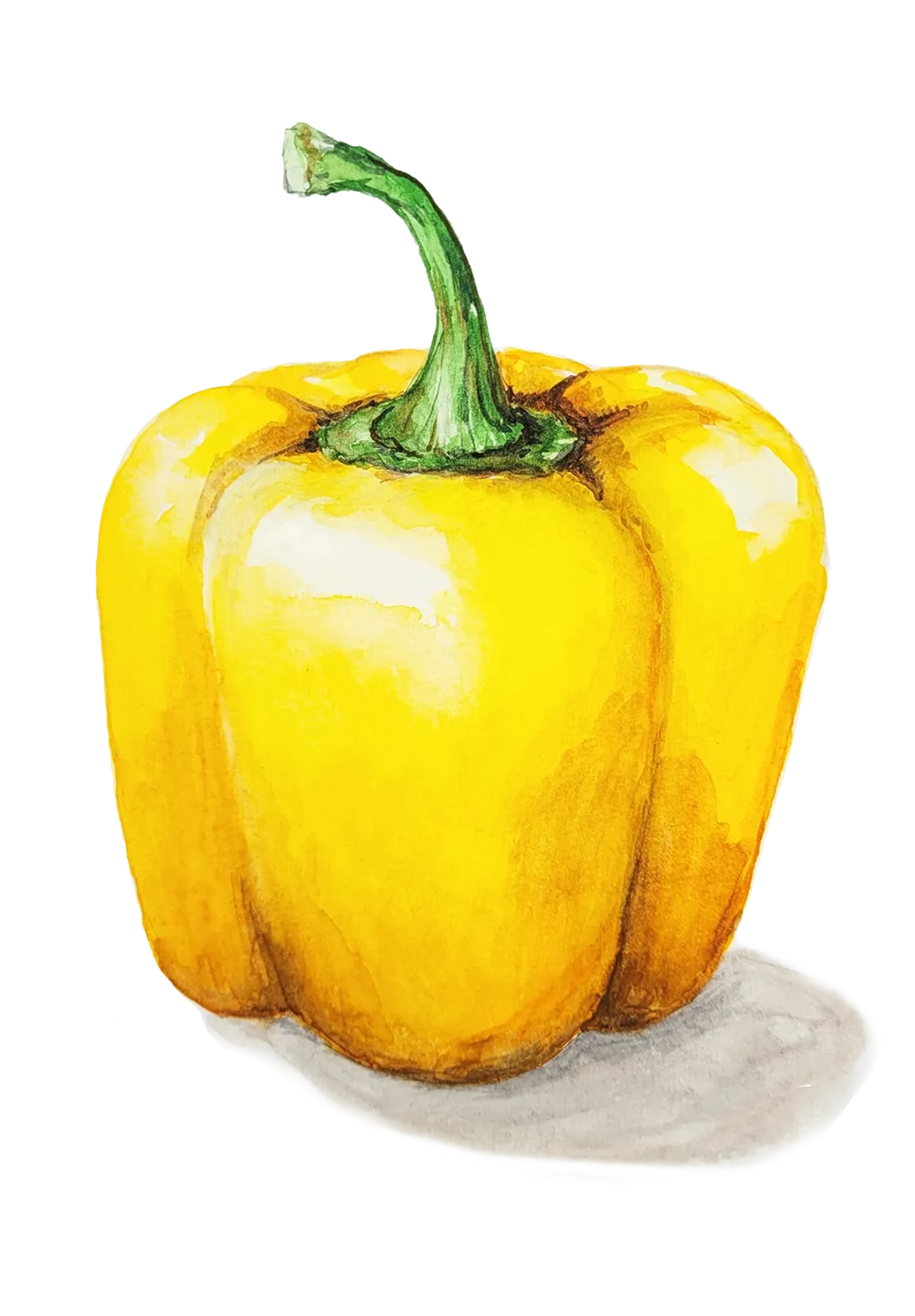 Paprika 'Cubo Yellow', Frö - bild 1