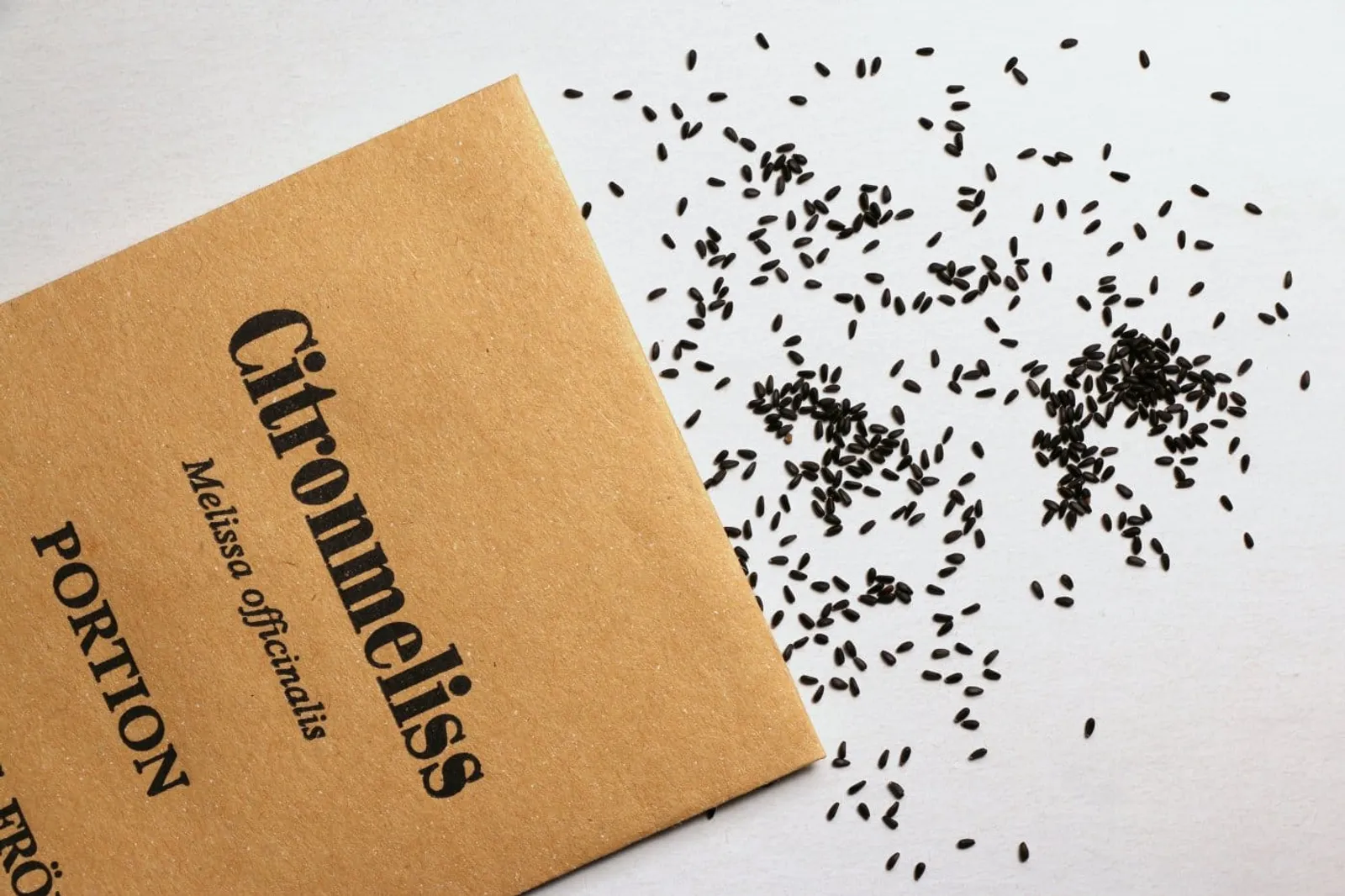 Citronmeliss 'Citronmeliss', ekofrö - bild 2