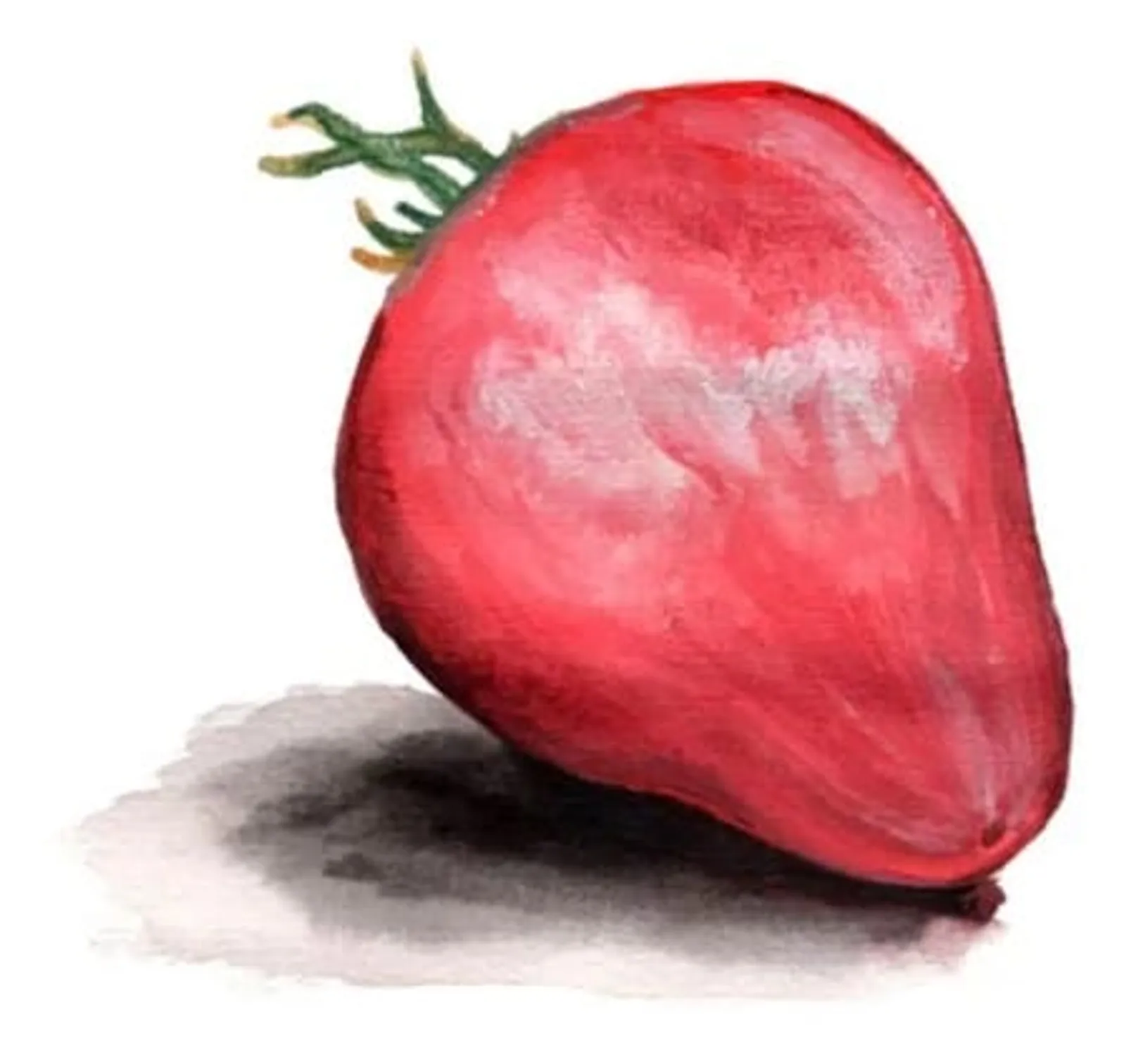 Tomat 'Pink Passion', Frö - bild 1