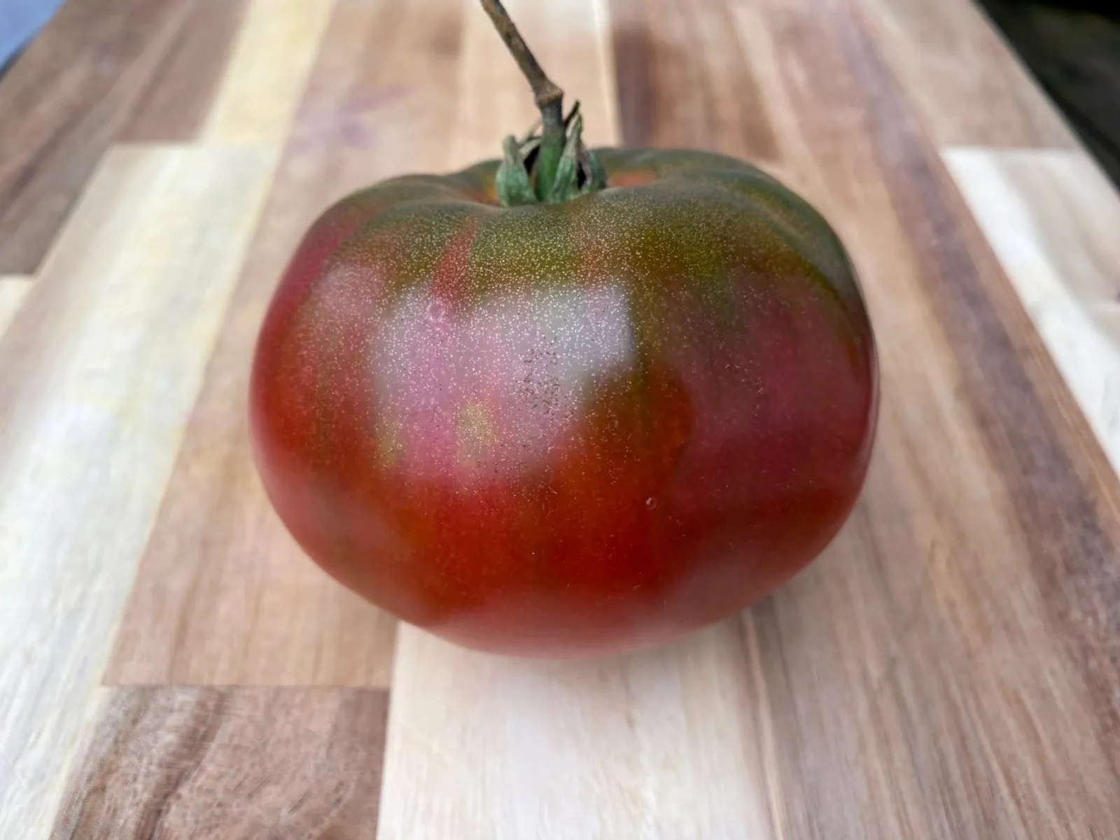 Tomat, högväxande 'Cherokee Purple', ekofrö - bild 1