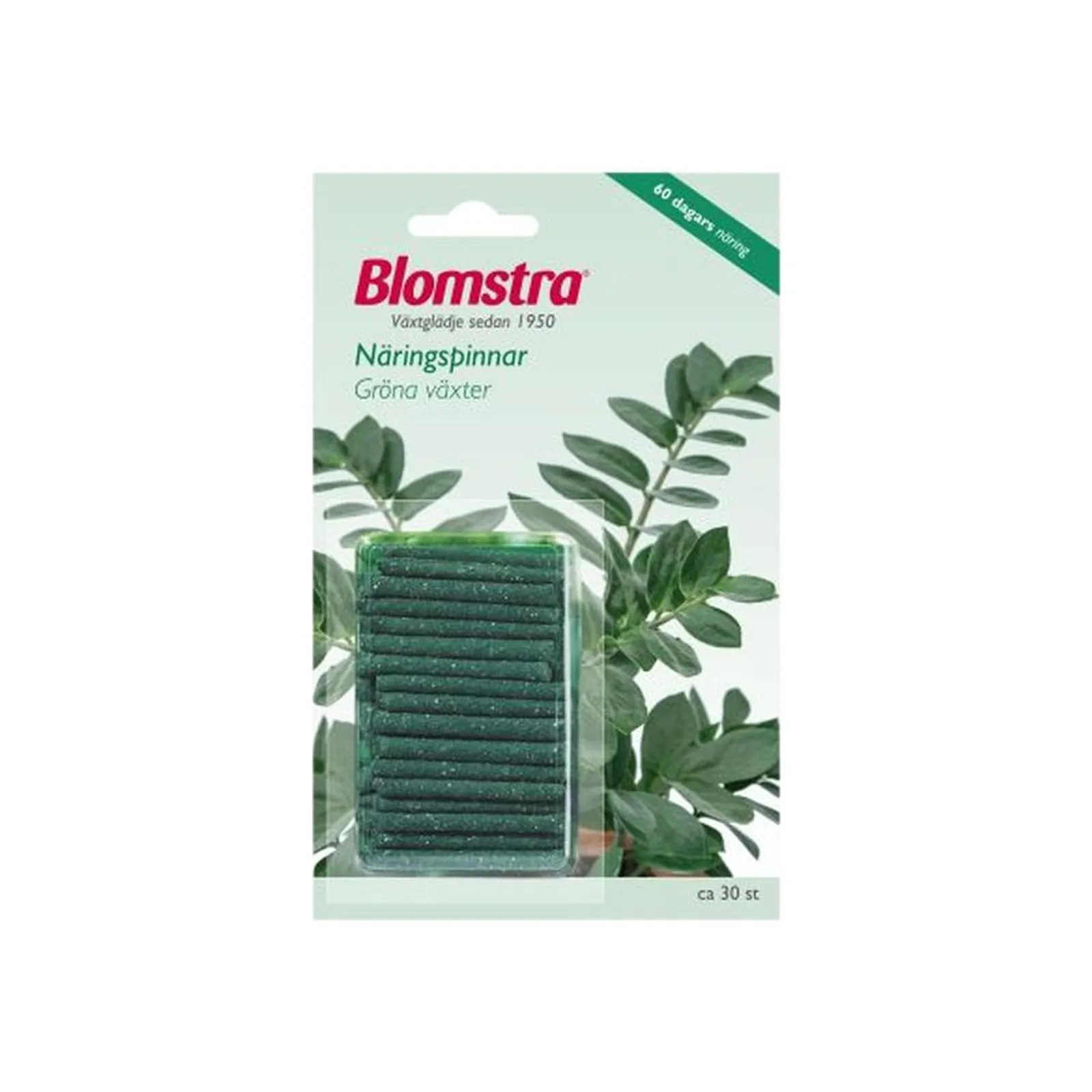Näringspinnar Blomstra Gröna Växter 30 St. - bild 1