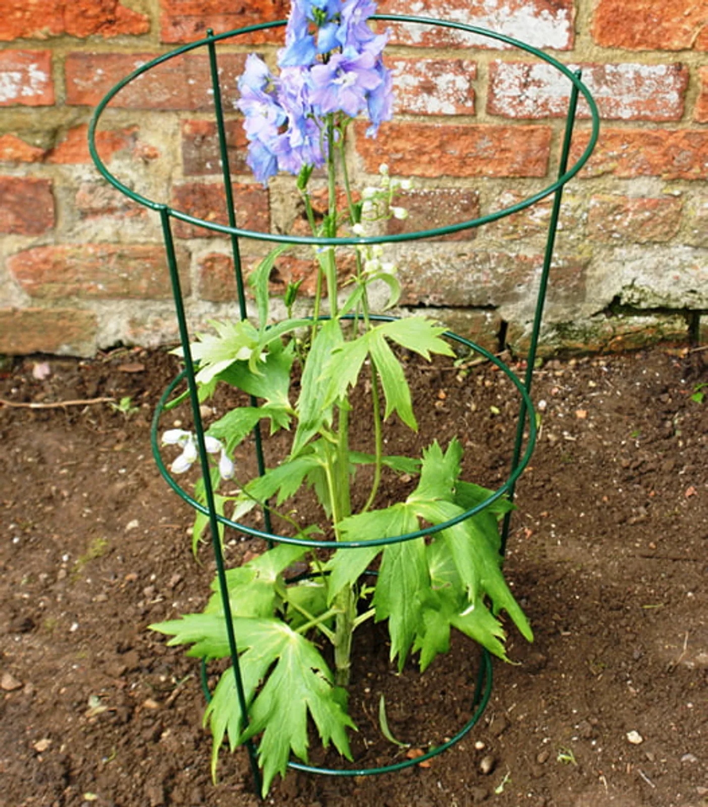 Växtstöd Runt Ø18 cm Höjd 46 cm - bild 1