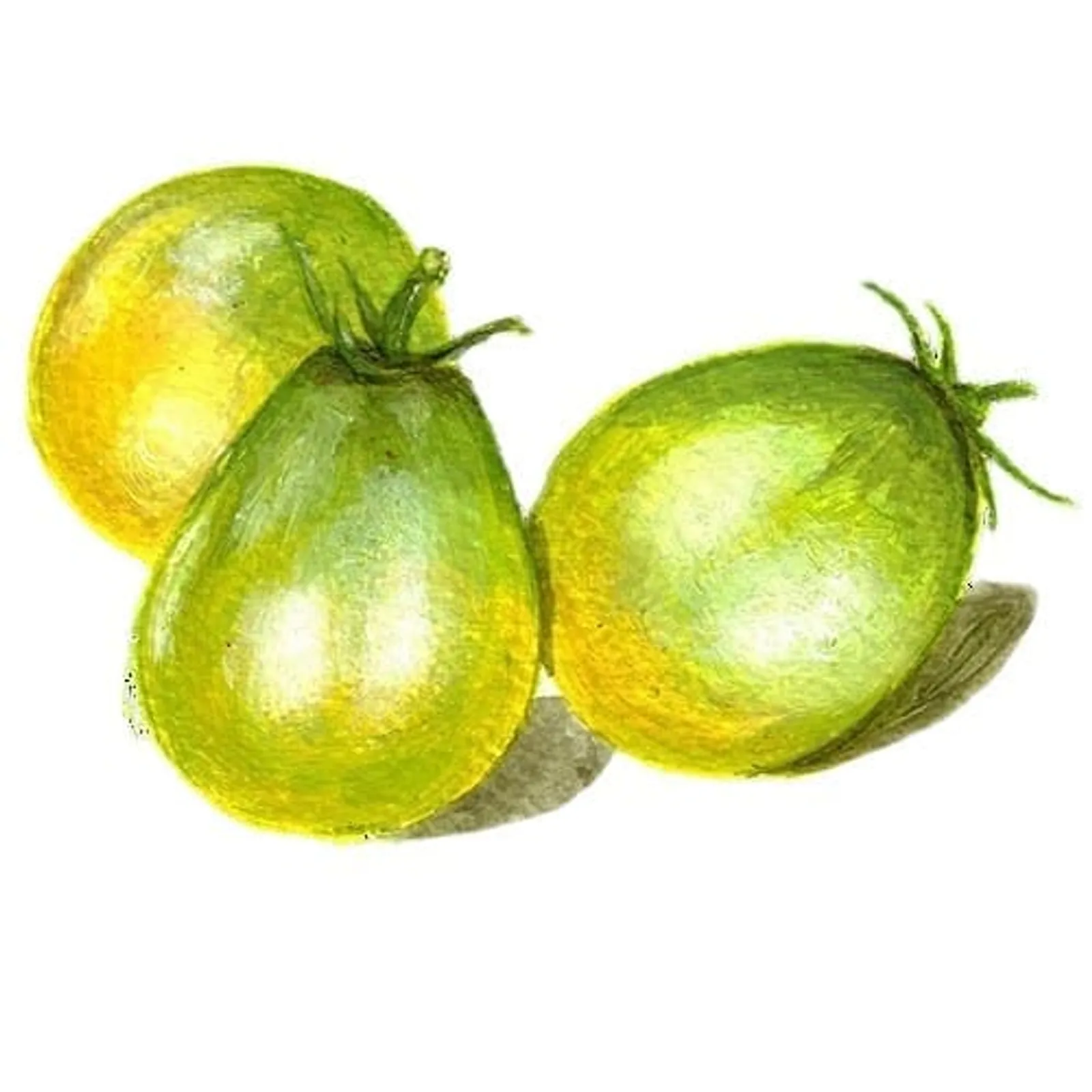 Dwarftomat 'Grinch Cherry', Frö - bild 1