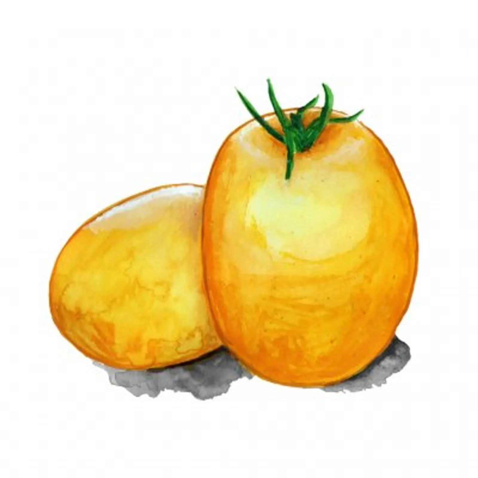 Busktomat 'Ida Gold', Frö - bild 1