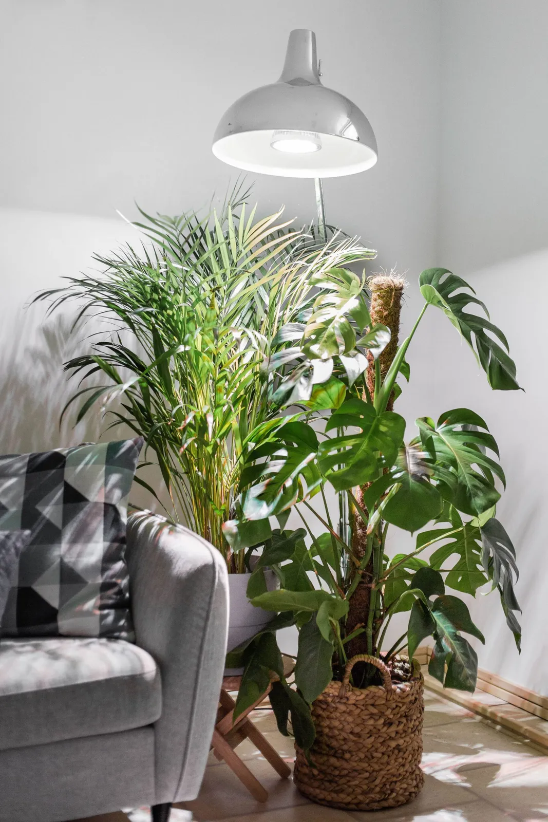 Växtlampa Venso Indoor Plants 18W - bild 2