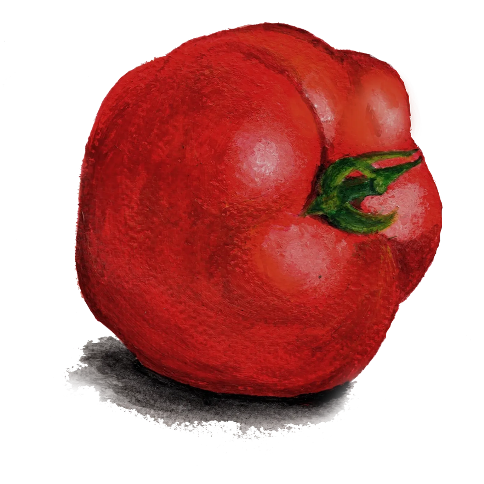 Tomat 'Odessa', Frö - bild 1
