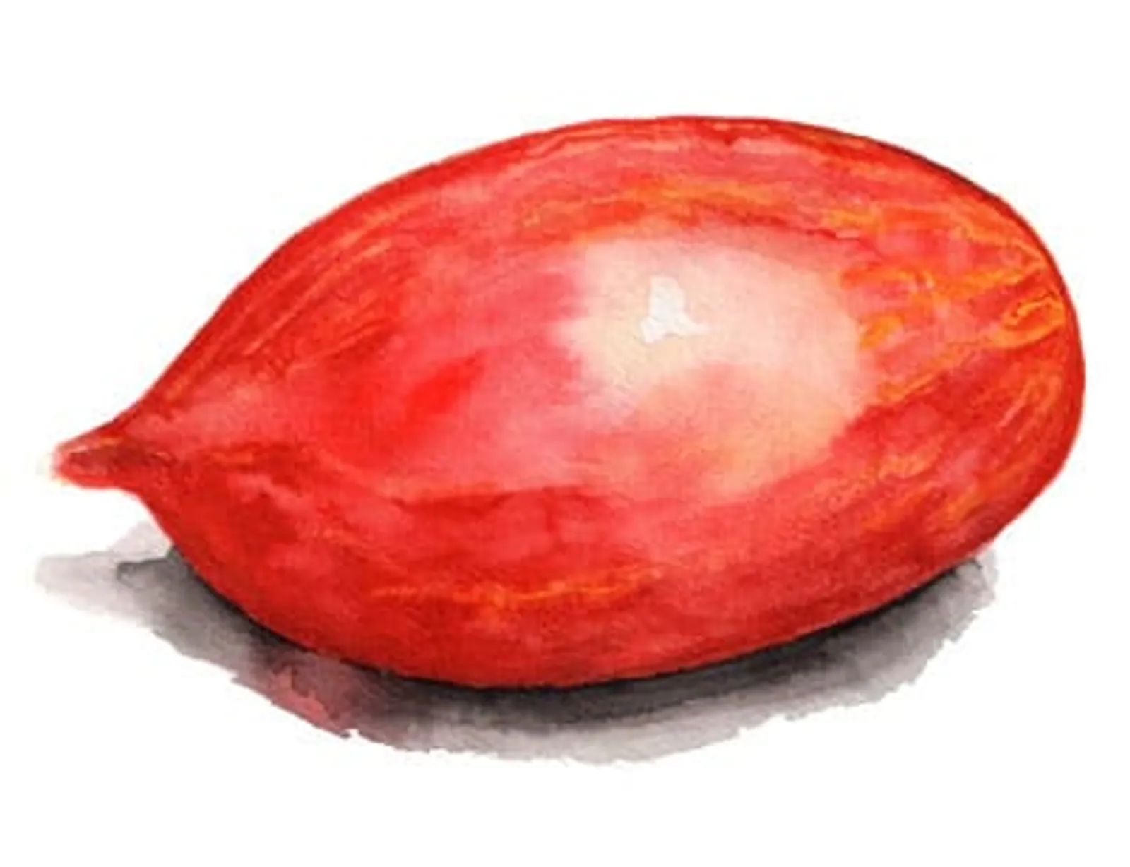 Tomat 'Marmorossa', Frö - bild 1