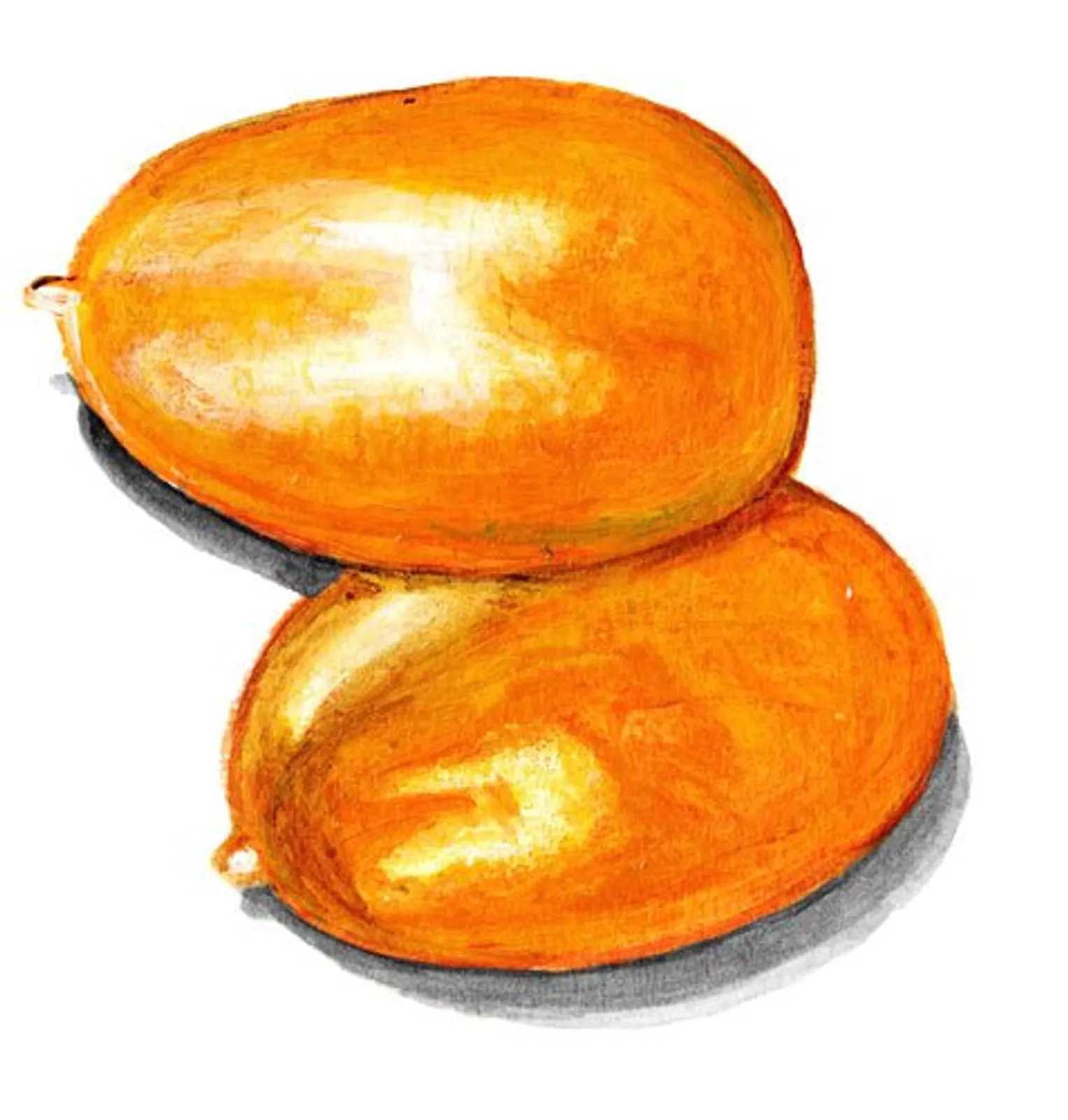 Tomat 'Tjuchloma', Frö - bild 1