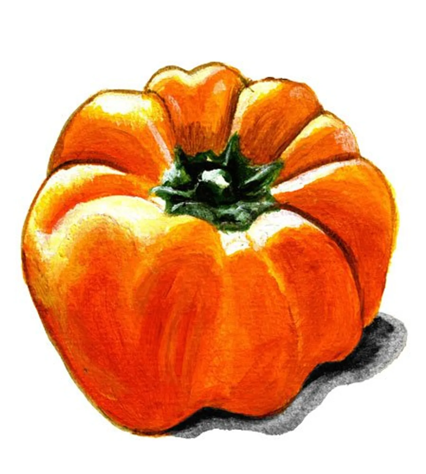 Paprika 'Cubo Orange', Frö - bild 1