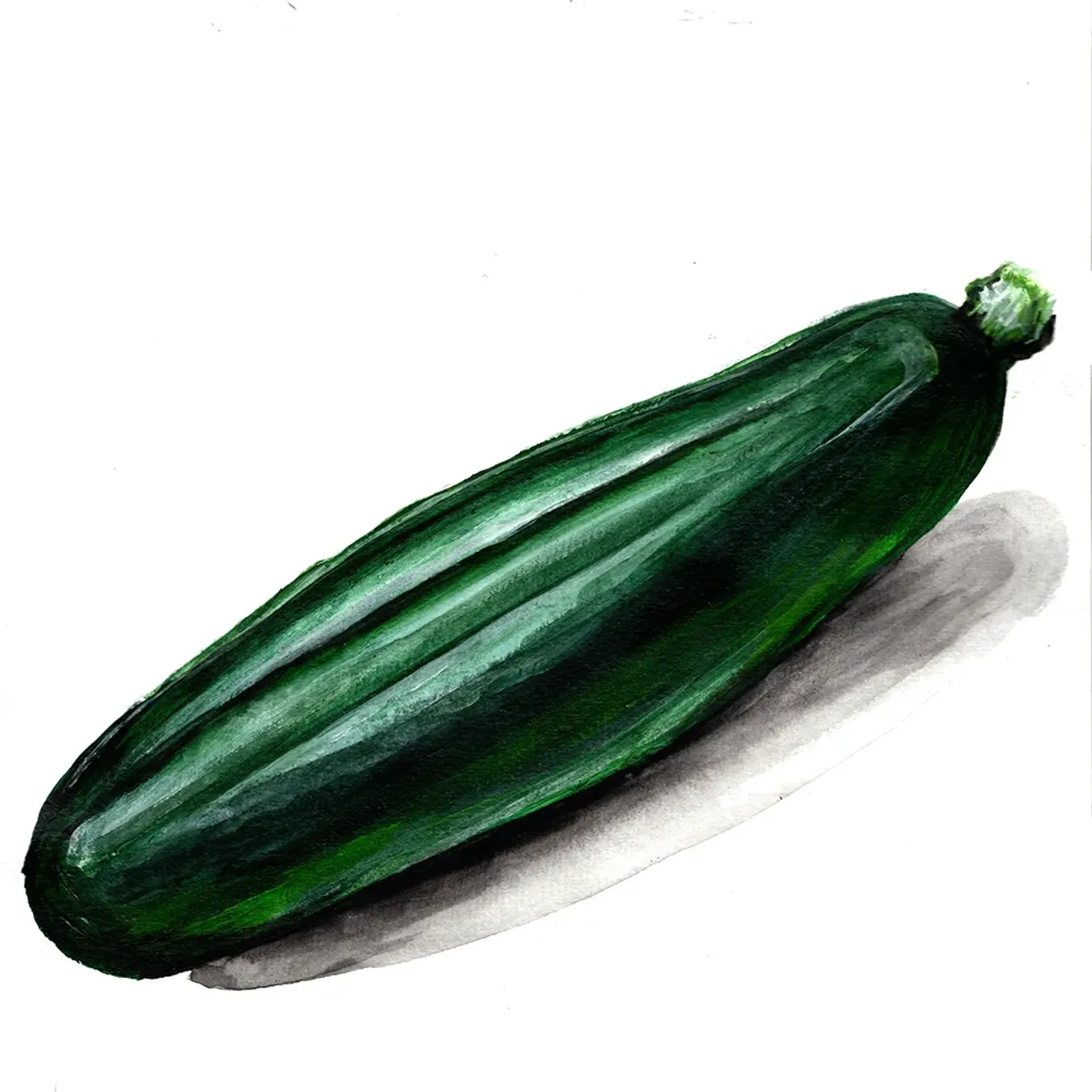 Sommarsquash 'Dark Fog', Frö - bild 1