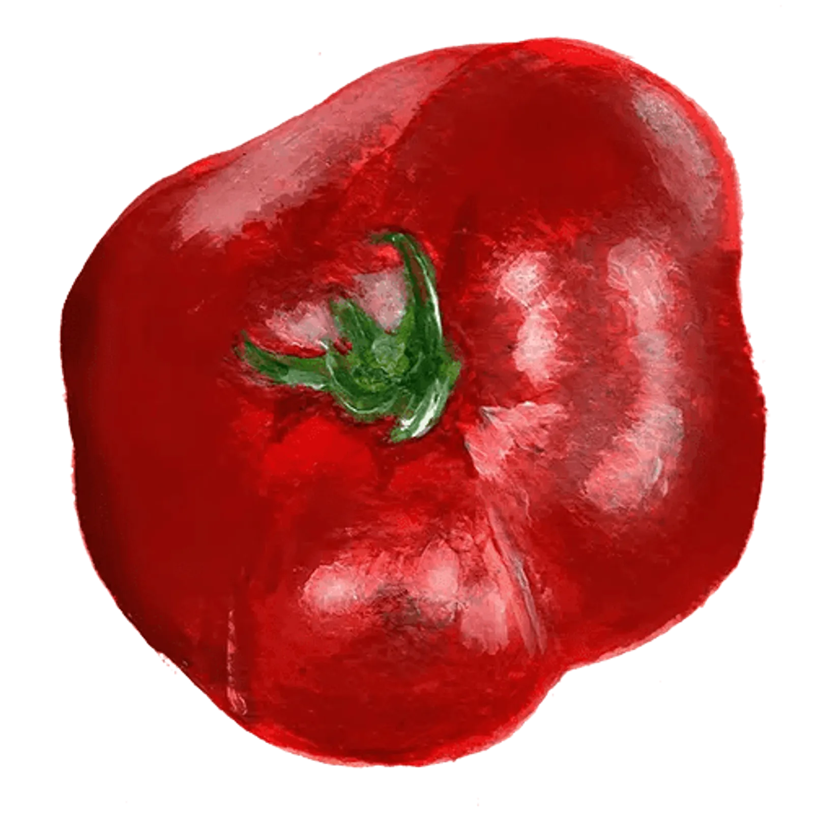 Tomat 'Sasha Altai', Frö - bild 1