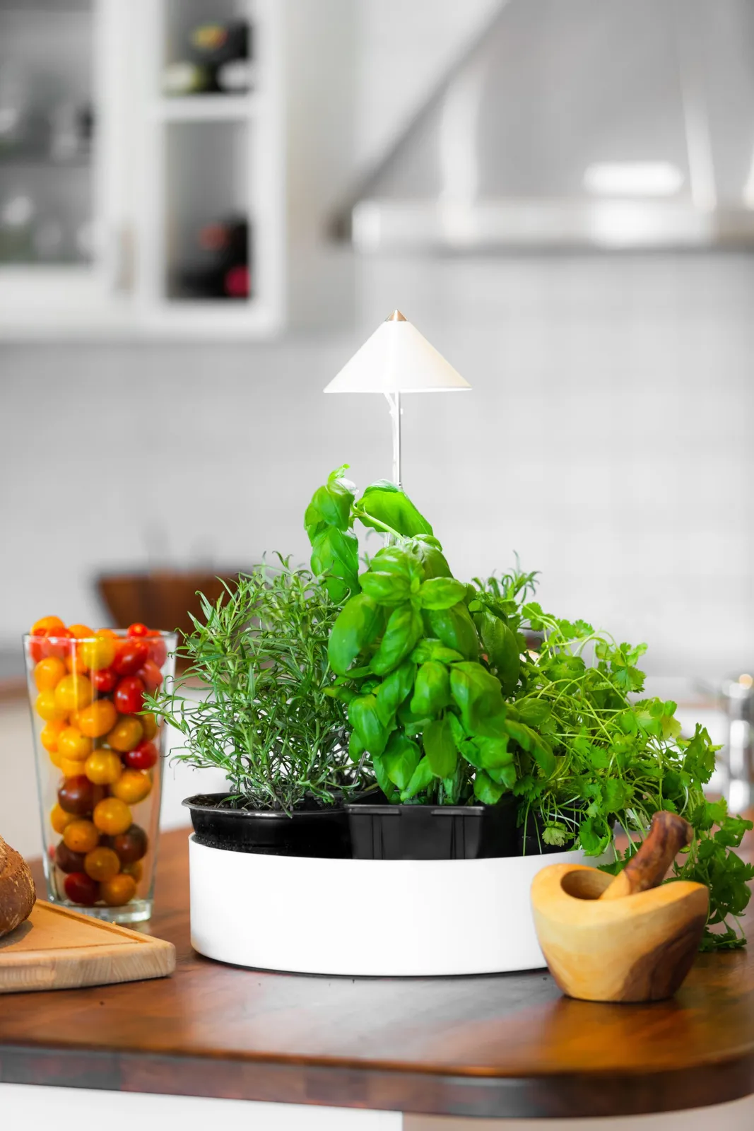 Växtlampa Venso MiniHerb L 310mm - bild 1