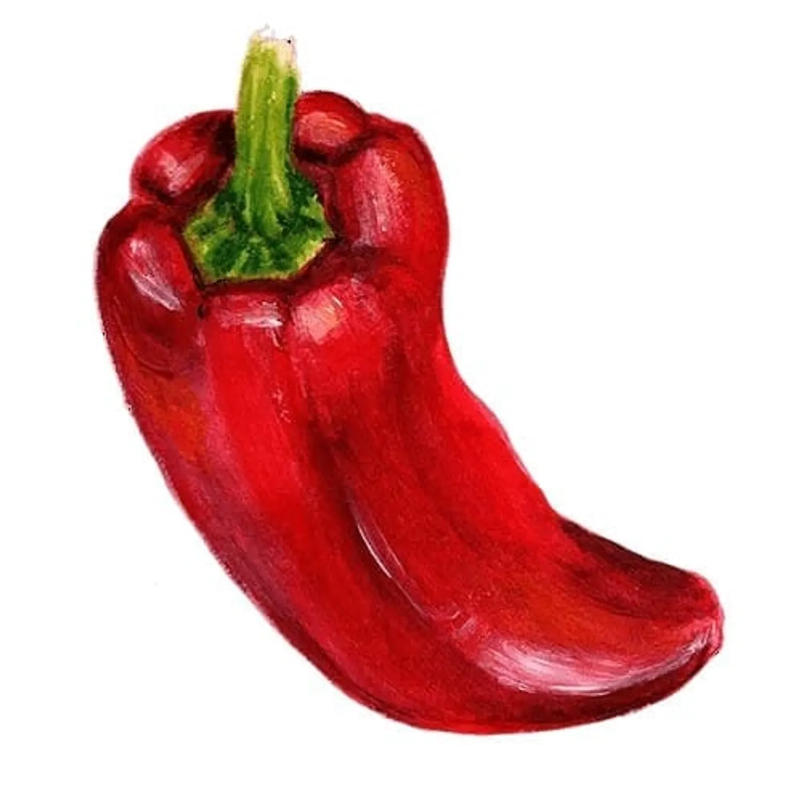 Paprika 'Corno Rosso', Frö - bild 1