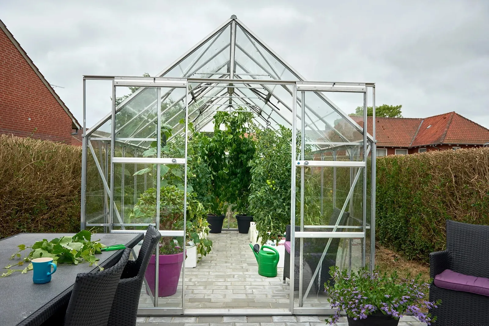 Växthus Halls Magnum 148 11,5 m² Glas - bild 1