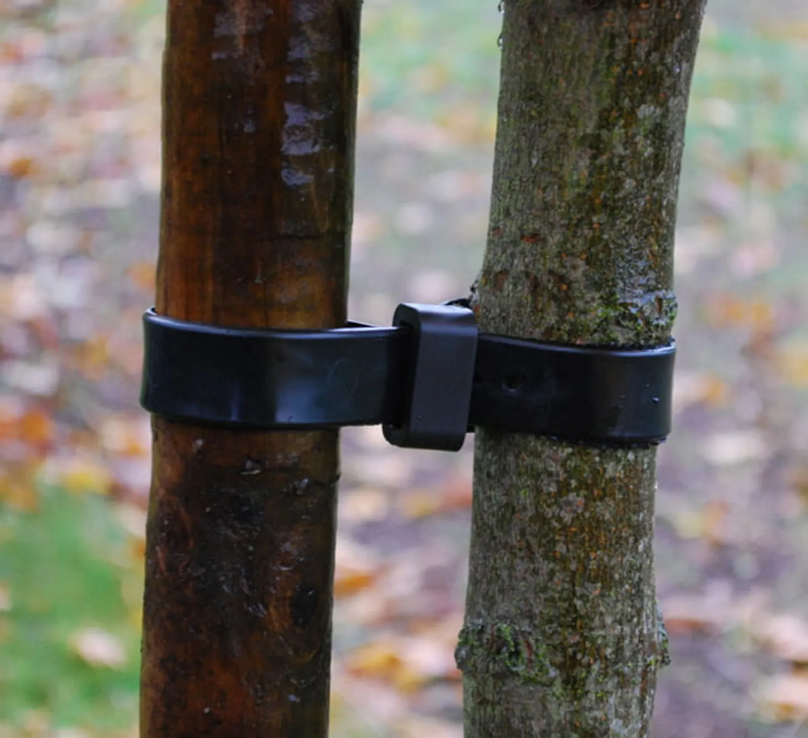 Trädband GardenMind 1st 45 x 2,5 cm - bild 1