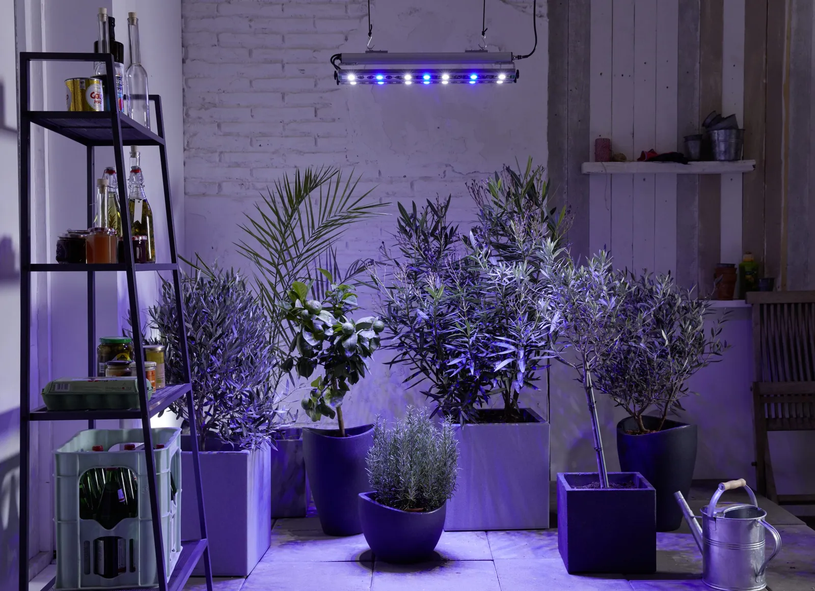 Växtarmatur Venso Growlight Quattro 2st rader 60W - bild 1